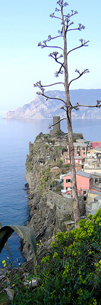 Vernazza rooms rental